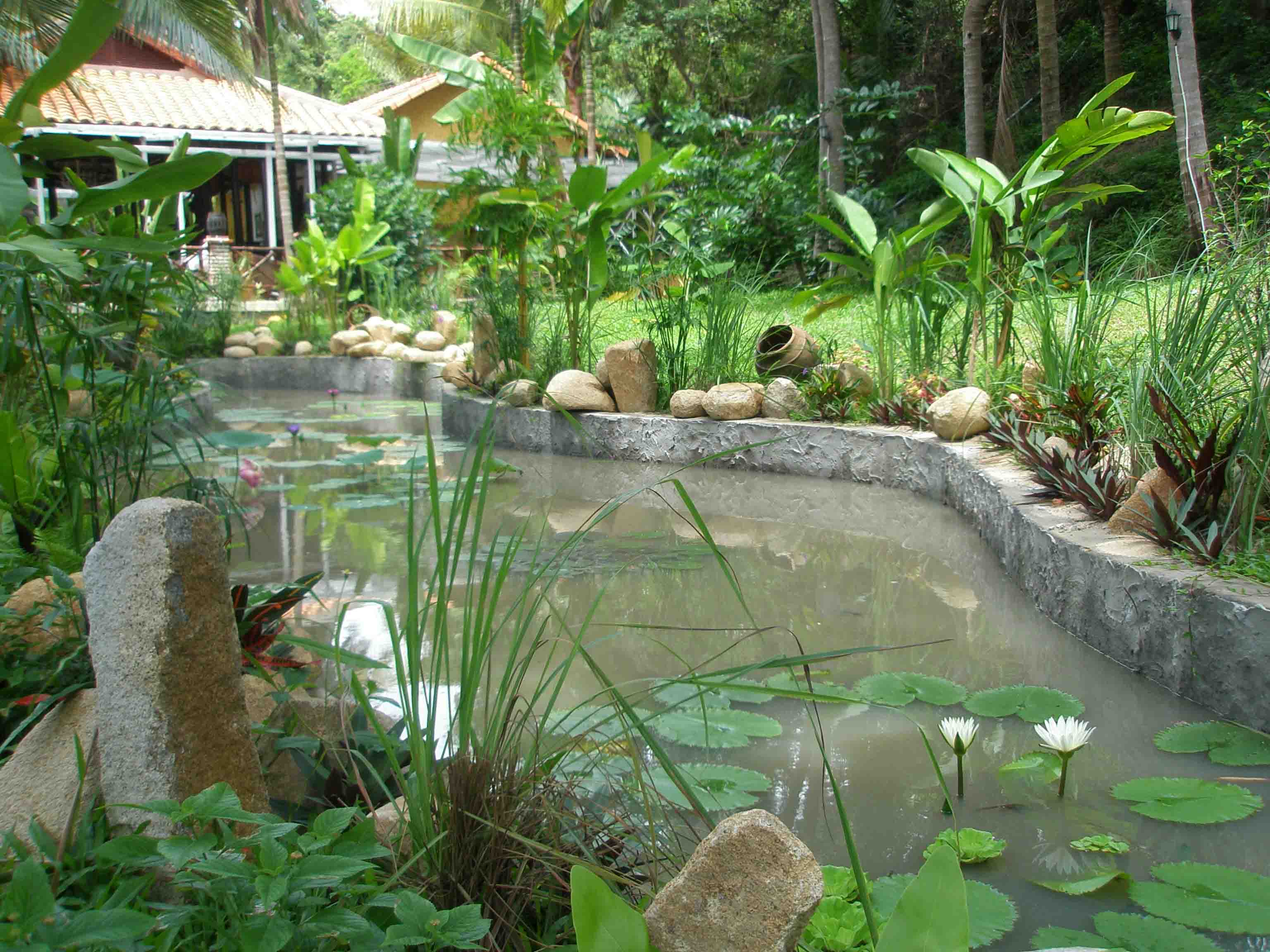 Cảnh quan - Green Hill Resort
